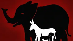 Ciekawa iluzja optyczna: ile zwierząt uda Ci się znaleźć na tym rysunku w ciągu 10 sekund?